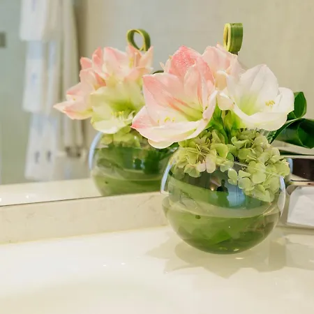 酒店 Greif & 的里雅斯特