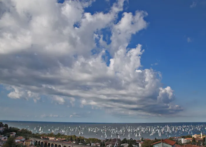 ホテル Greif & 5*